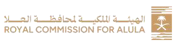 logo 20